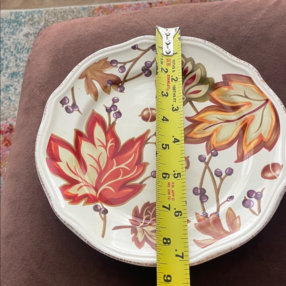 Two Autumn Leaf Pattern  Plates - Picture 6 of 6